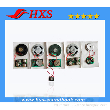 Highly Recommend Music Greeting Card Sound Chip Electronic Sound Module